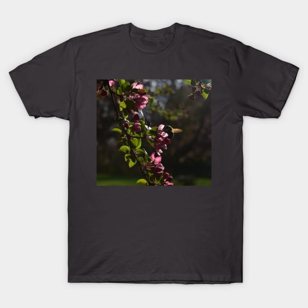 Springs happy moments T-Shirt by JrBrad Photography 